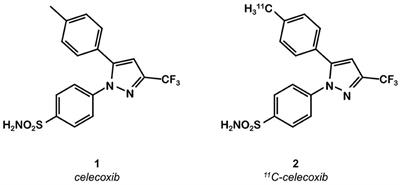 Development of PET Radioligands Targeting COX-2 for Colorectal Cancer Staging, a Review of in vitro and Preclinical Imaging Studies